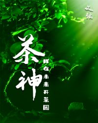 茶神章节列表