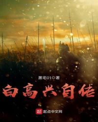 白高兴自传章节列表