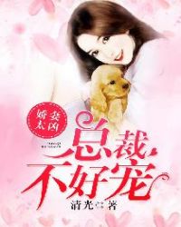 娇妻太凶，总裁不好宠章节列表