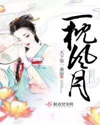 一枕风月章节列表