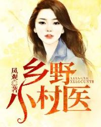乡野小村医章节列表