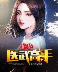 护花医武高手章节列表