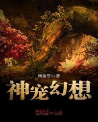 神宠幻想章节列表