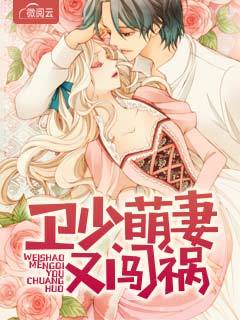 卫少萌妻又闯祸章节列表