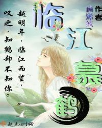 临江慕鹤章节列表