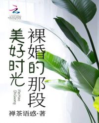 裸婚的那段美好时光章节列表