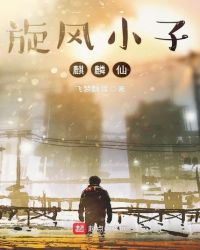 旋风小子麒麟仙章节列表