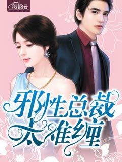 邪性总裁太难缠章节列表