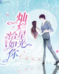 灿烂星光恰如你章节列表