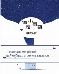 偏宠小哥哥（快穿）章节列表