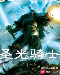 圣光骑士章节列表