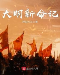 大明新命记章节列表