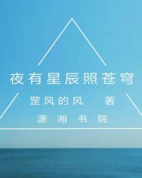 夜有星辰照苍穹章节列表