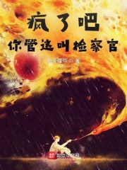 疯了吧，你管这叫检察官章节列表