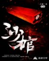 沙棺章节列表