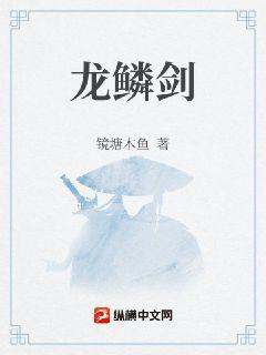 龙鳞剑章节列表