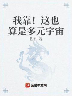 我靠！这也算是多元宇宙章节列表