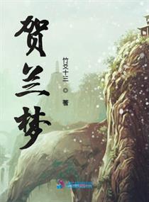 贺兰梦章节列表
