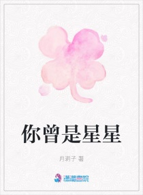 你曾是星星章节列表