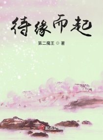 待缘而起章节列表