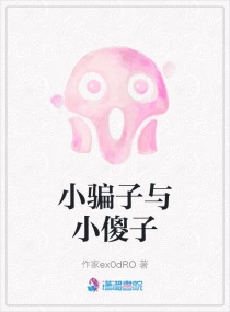 小骗子与小傻子章节列表