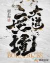 大道无境章节列表