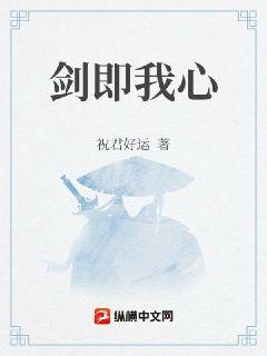 剑即我心章节列表