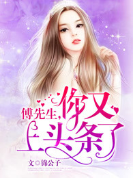 傅先生，你又上头条了章节列表