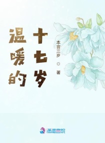 温暖的十七岁章节列表