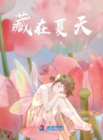 藏在夏天章节列表