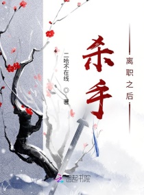 杀手离职之后章节列表