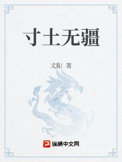 寸土无疆章节列表