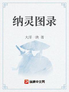 纳灵图录章节列表