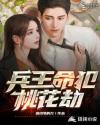 兵王命犯桃花劫章节列表