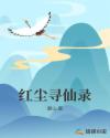 红尘寻仙录章节列表