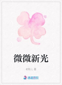 微微新光章节列表