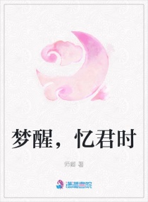 梦醒，忆君时章节列表
