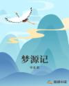 梦源记章节列表
