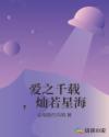 爱之千载灿若星海章节列表