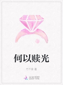 何以赎光章节列表