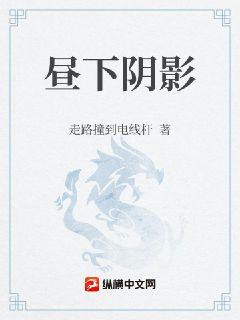 昼下阴影章节列表