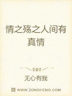 情之殇之人间有真情章节列表