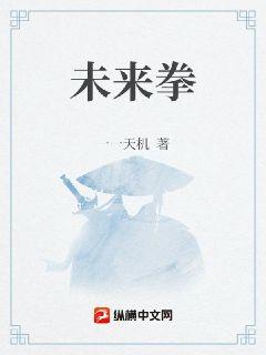 未来拳章节列表
