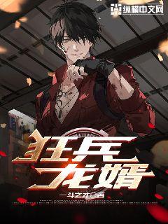 狂兵龙婿章节列表