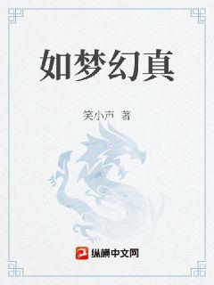 如梦幻真章节列表
