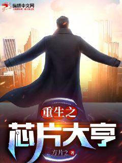 重生之芯片大亨章节列表