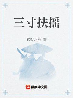 三寸扶摇章节列表