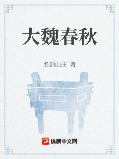 大魏春秋章节列表