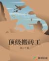 顶级搬砖工章节列表