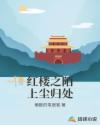 红楼之陌上尘归处章节列表
